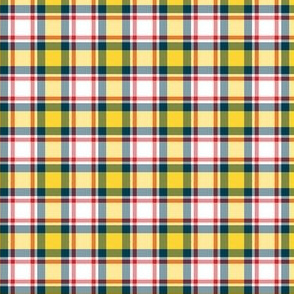 plaid_7_ Made to order 2