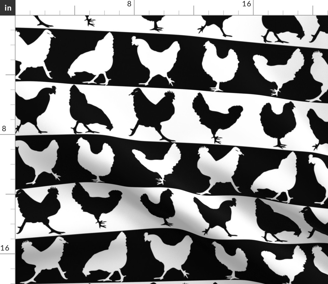 Black and White Chickens
