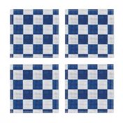 Checkerboard Color Chess