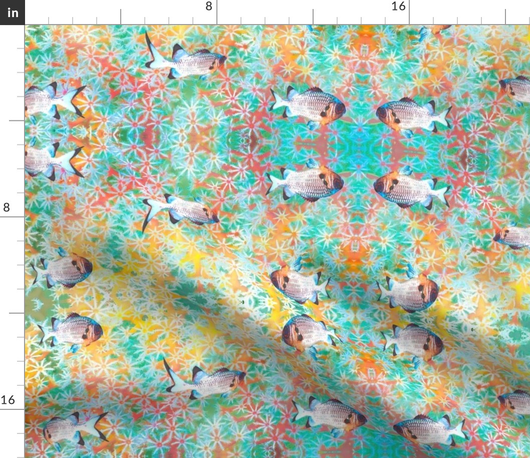 fish_fabric_jpg