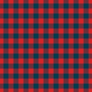 plaid_5_ even check red and blue