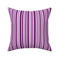 DragonflyZip stripe - deep purple & lavender