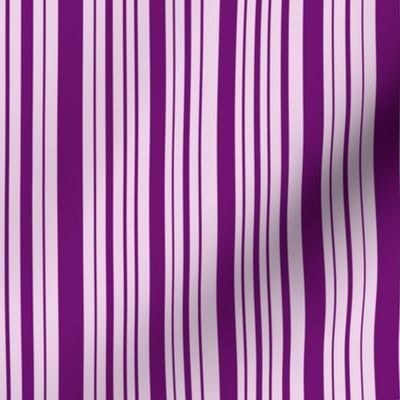 DragonflyZip stripe - deep purple & lavender