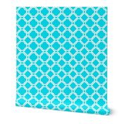 Ogee Trellis Turquoise Blue