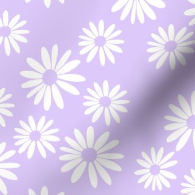 White Daisies, Lilac