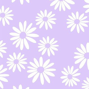 White Daisies, Lilac