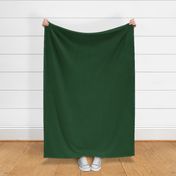 Dark Green Primary coloured Head Silk Scarf