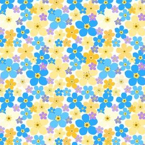 Forget me not, blue and yellow flowers