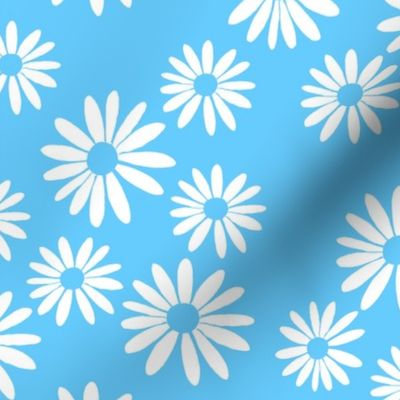 White Daisies on Blue