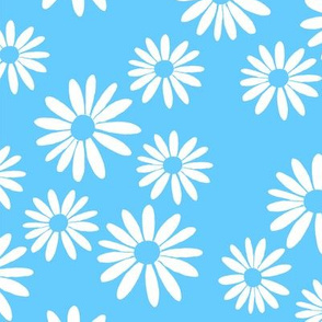 White Daisies on Blue