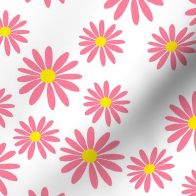 Pink Daisies on White