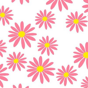 Pink Daisies on White