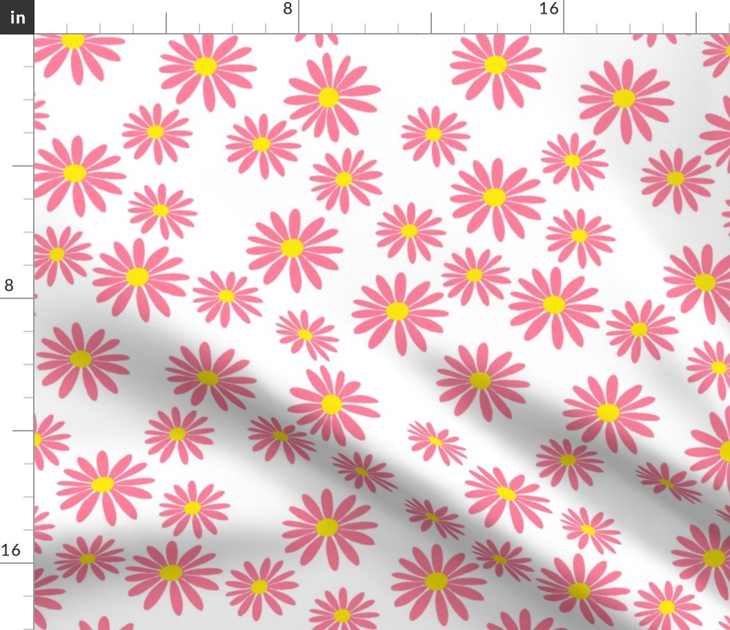 Pink Daisies on White