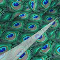 Peacock Bird Feathers, Teal, Emerald Greens, & Royal Blues (Original 450px)