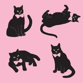 Black cats on pink