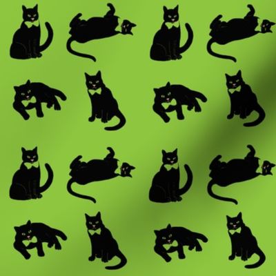 Black cats on green