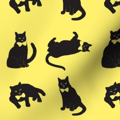 black cats on yellow