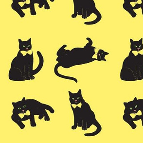 black cats on yellow