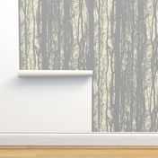 Silver Birch Forest