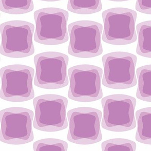 jelly jelly lavender