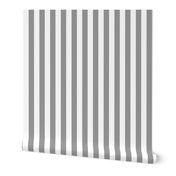 Modern Cottage ~ Vertical Stripe