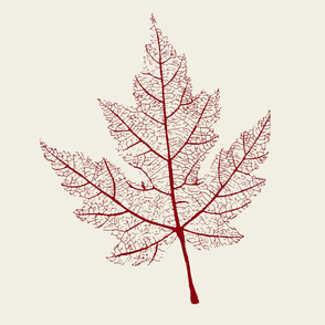 Red Maple Leaf