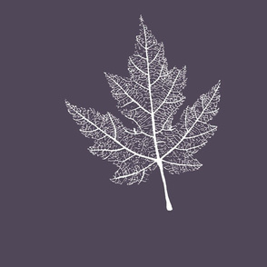 white maple leaf