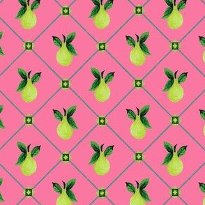 Pink_Trellis_Pear