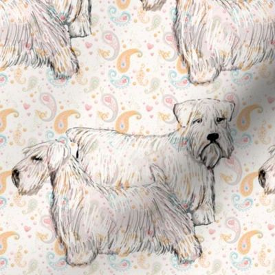 sealyham_terrier