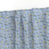 Parakeets Looking at You  - Multi/Blue - Small