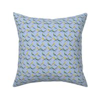 Parakeets Looking at You  - Multi/Blue - Small