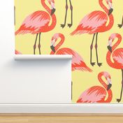 flamingos 