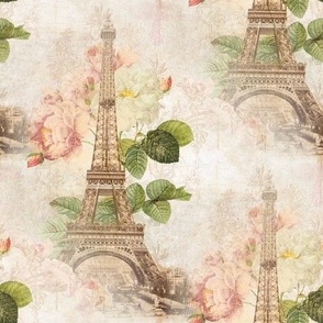 Paris Vintage Pink Roses