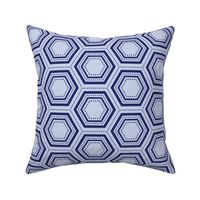 Dotted Hexagon - Blue
