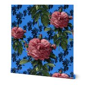 Redoute' Roses ~ Sweet Pink & Blue ~ Large