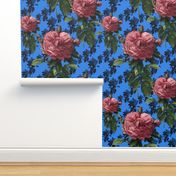 Redoute' Roses ~ Sweet Pink & Blue ~ Large