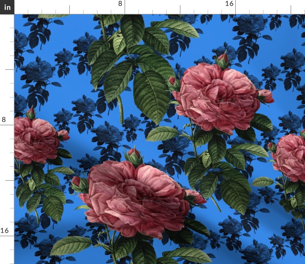 Redoute' Roses ~ Sweet Pink & Blue ~ Large