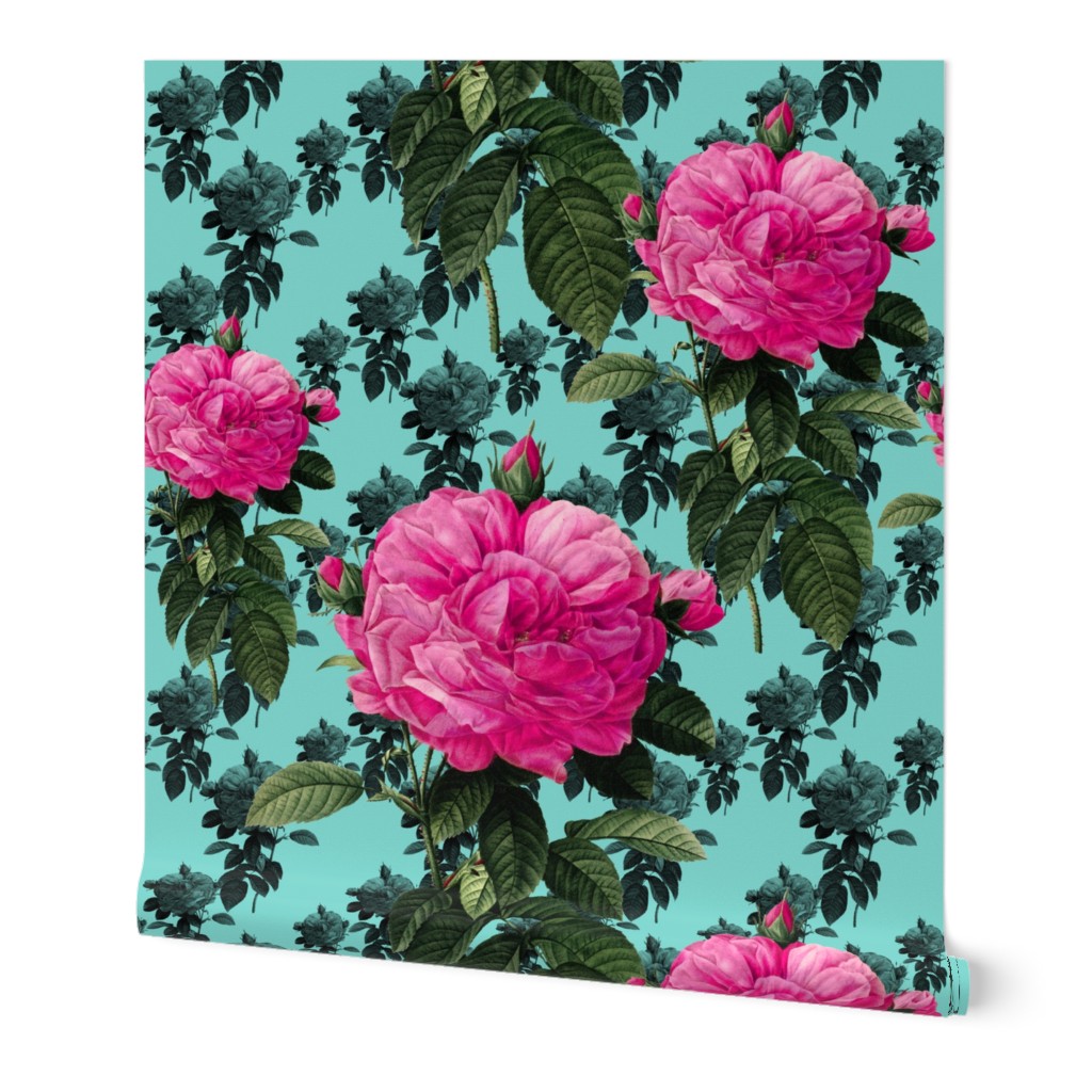 Redoute' Roses ~ Bright Pink & Robin's Egg Blue