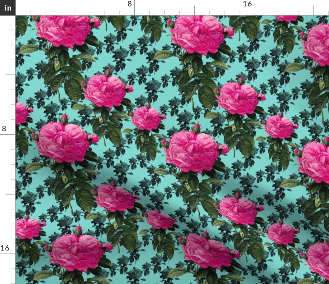 Redoute' Roses ~ Bright Pink & Robin's Egg Blue