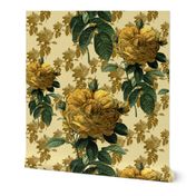 Redoute' Roses ~ Yellow on Cream