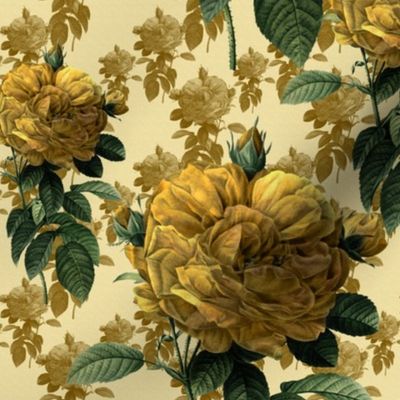 Redoute' Roses ~ Yellow on Cream