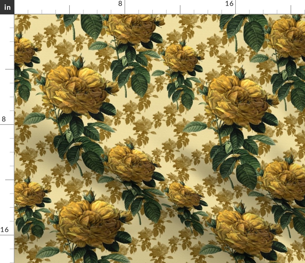 Redoute' Roses ~ Yellow on Cream