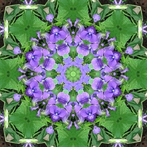 Blue_violet_circle_in_a_square