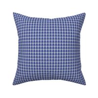 Blue Box_Plaid_2_xs