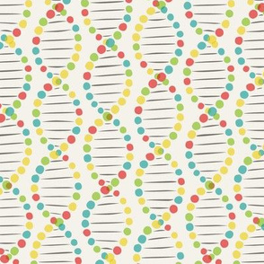 Color DNA stripe
