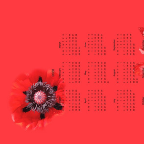 Poppy Calendar 2020