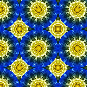 Kaleidoscope 11 - Daisy Rings