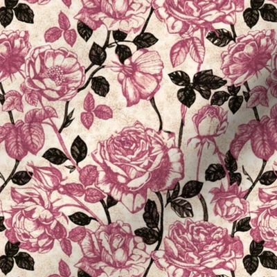 Toile_de_Jouy_roses (pink and black)