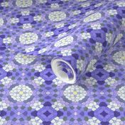 Jacaranda Petal Carpet