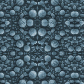 pollen mix blue SEM